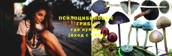 дмт Аркадак