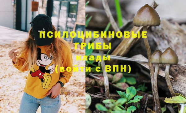 таблы Горнозаводск