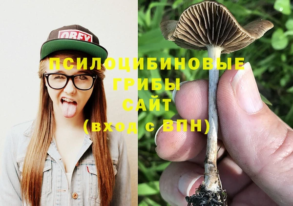 гидра Армянск