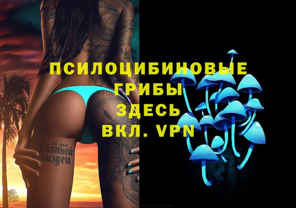 дмт Аркадак