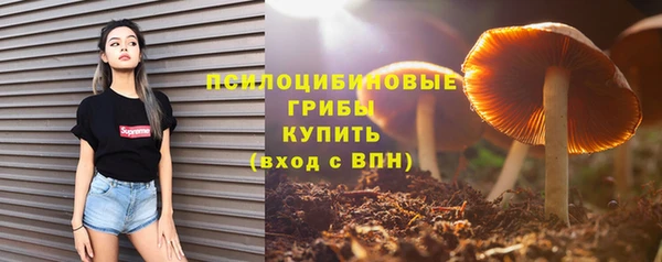 дмт Аркадак
