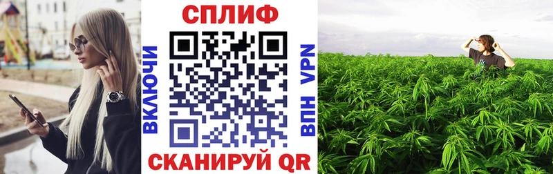 ОМГ ОМГ ТОР  где продают   Сосенский  Канабис AK-47 